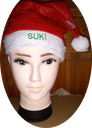 Red Santa hat  (personalised)